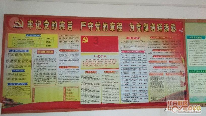 解锁你的问题宝库,探秘张桂梅怕坐轮椅会让大家担心,你佩服她的坚持吗?蜗牛问答平台!